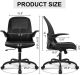 Primy Office Ergonomic Desk Chair with Adjustable Lumbar Support and Height, Swivel Breathable Mesh Computer Chair with Flip up Armrests for Conference Room (Black)